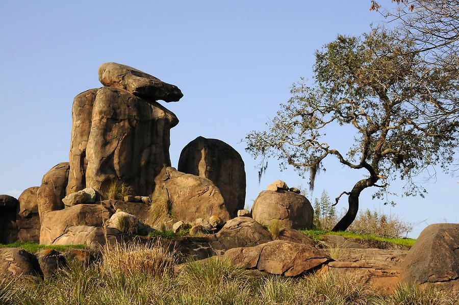 Animal Kingdom - 'Africa'; Safari