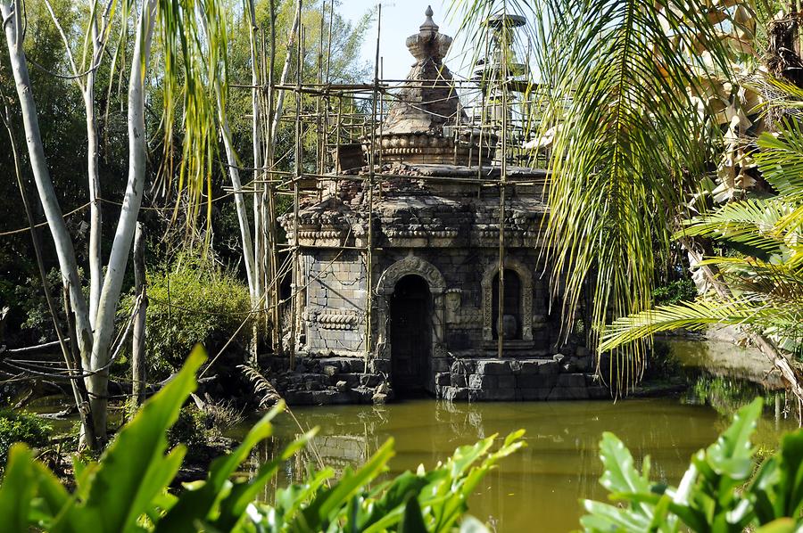 Animal Kingdom - 'Asia'; Angkor