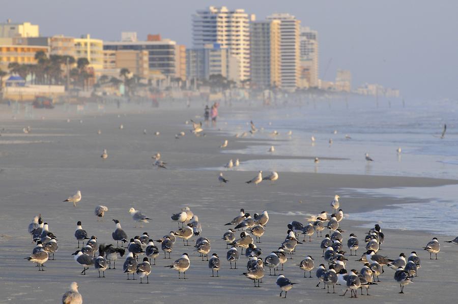 Daytona Beach