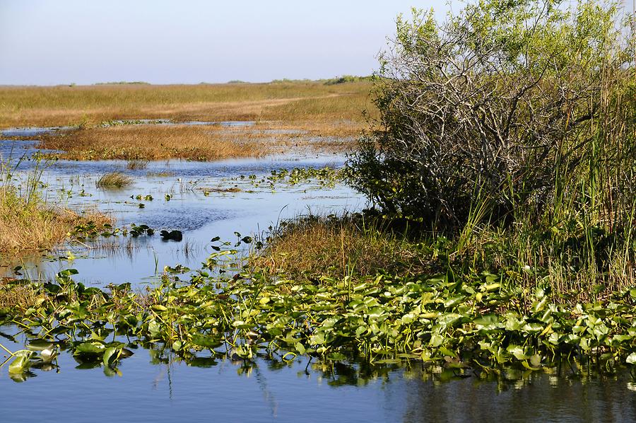 Everglades National Park