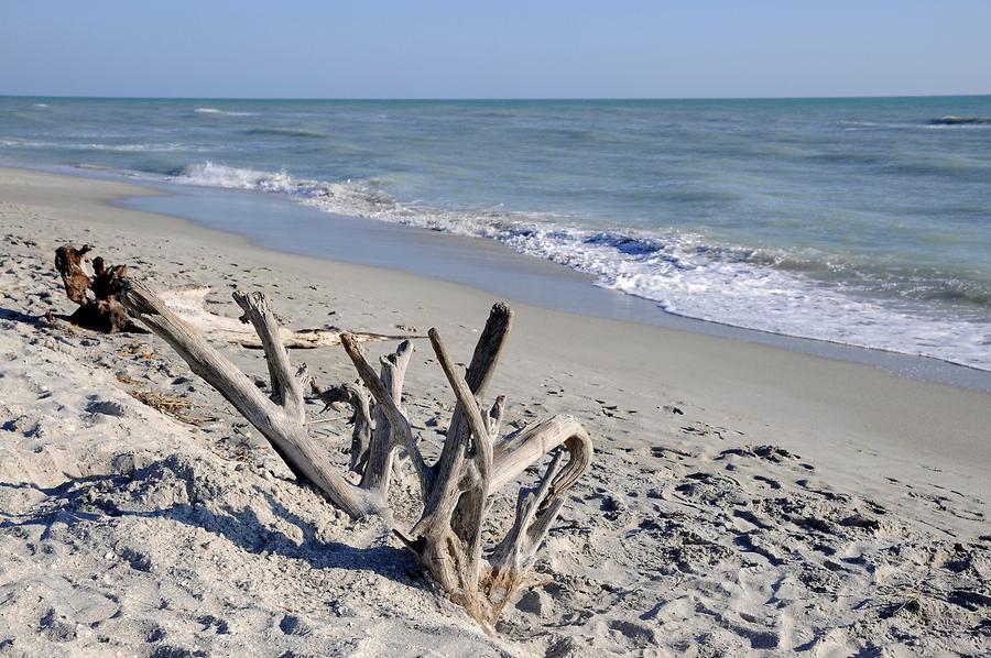 Sanibel Island - Beach