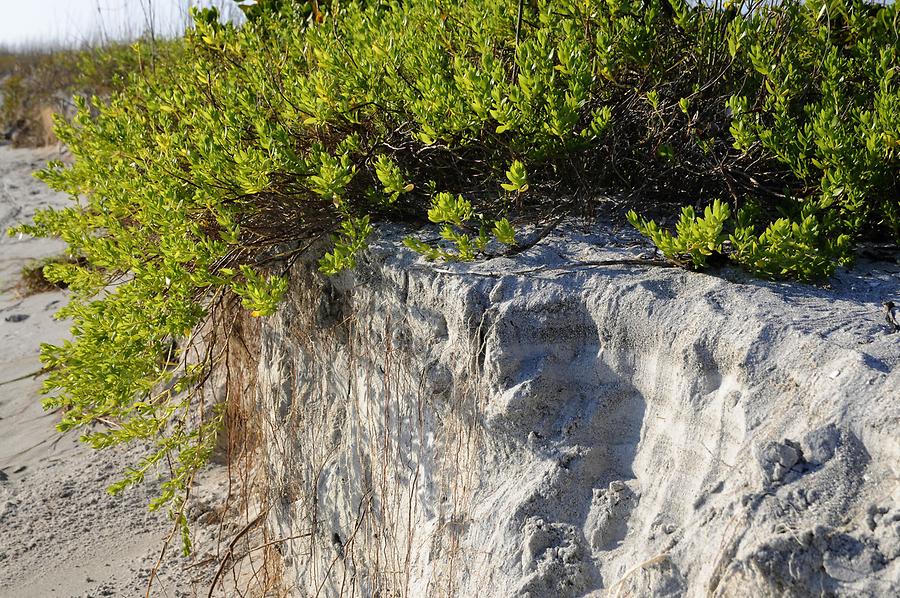 Sanibel Island - Beach