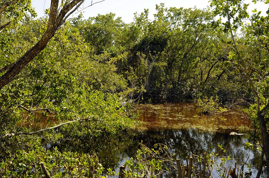 Sanibel Island - Darling National Wildlife Refuge