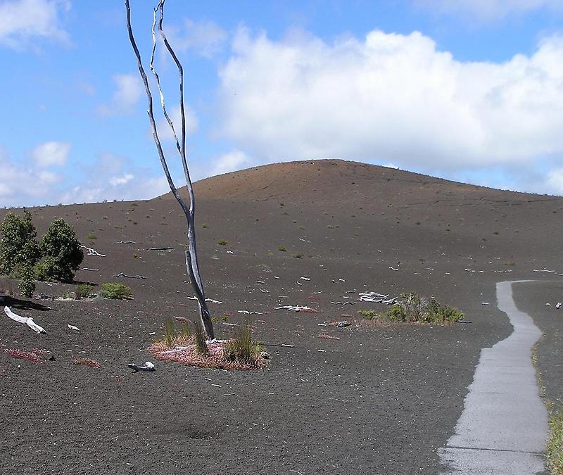 Hawaii Volcanoes National Park