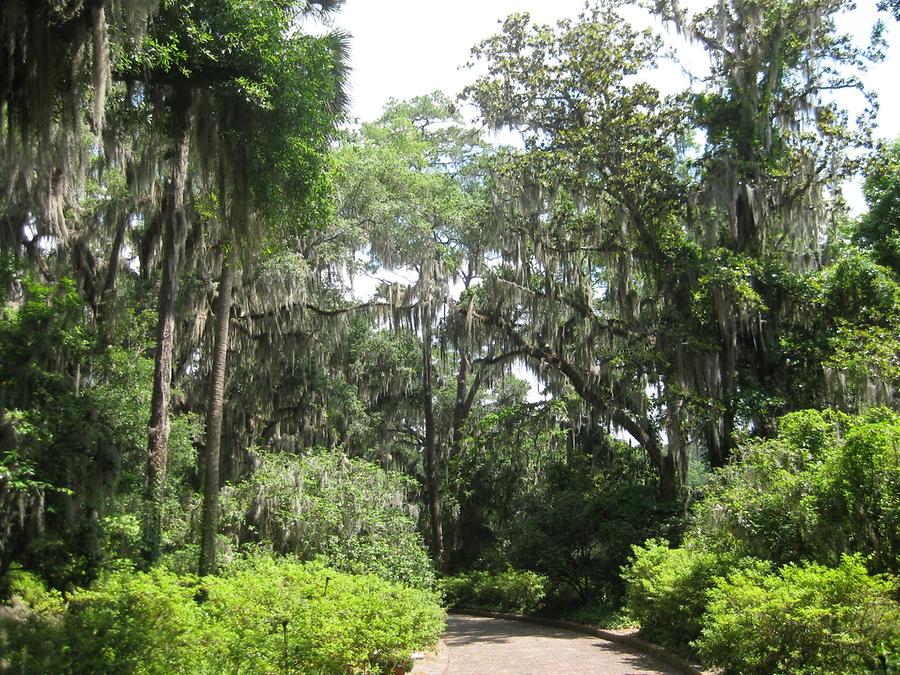 Tallahassee Alfred P. Maclay State Gardens