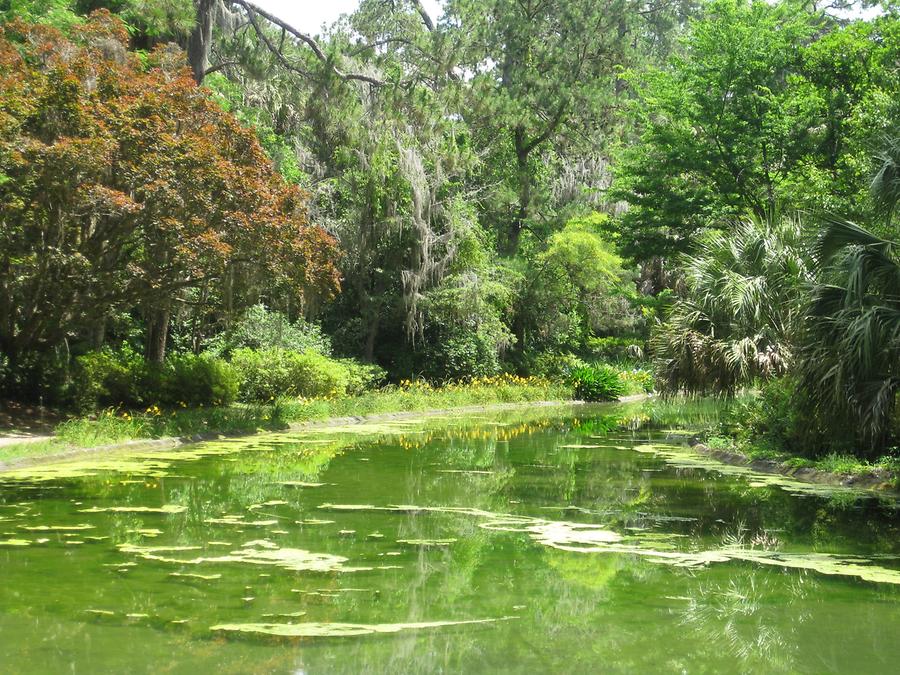 Tallahassee Alfred P. Maclay State Gardens