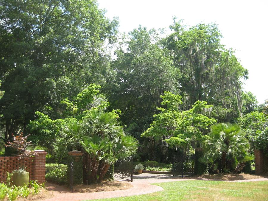 Tallahassee Alfred P. Macley State Gardens