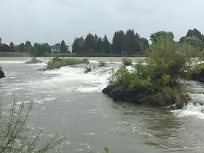 Idaho Falls - Snake River (1)