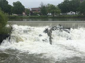 Idaho Falls - Snake River (2)