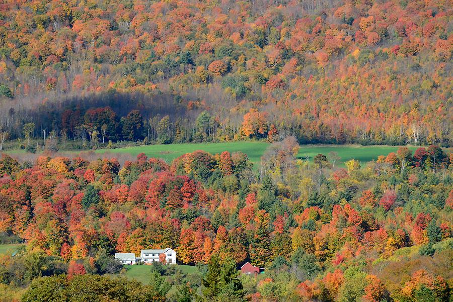 Green Mountains - Indian Summer