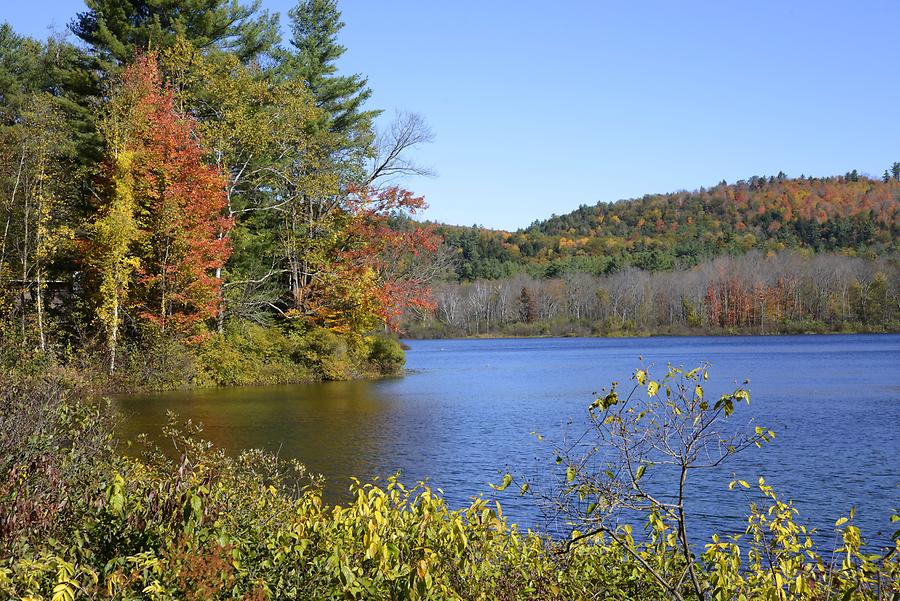 Green Mountains - Indian Summer