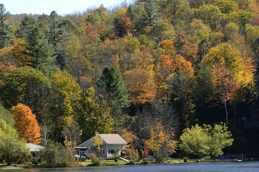 Green Mountains - Indian Summer