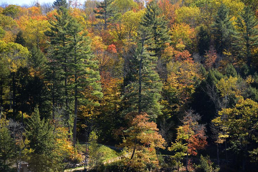 Green Mountains - Indian Summer