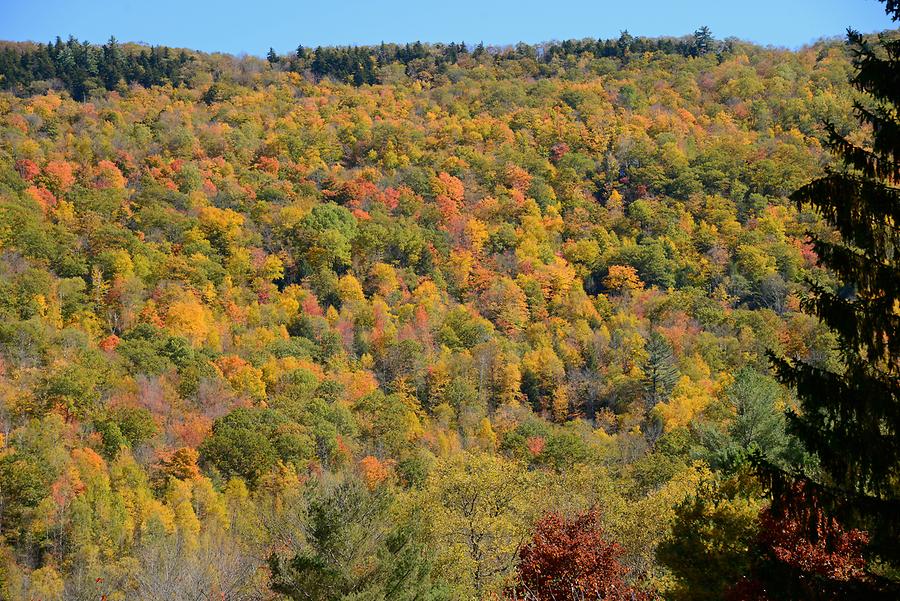 Green Mountains - Indian Summer