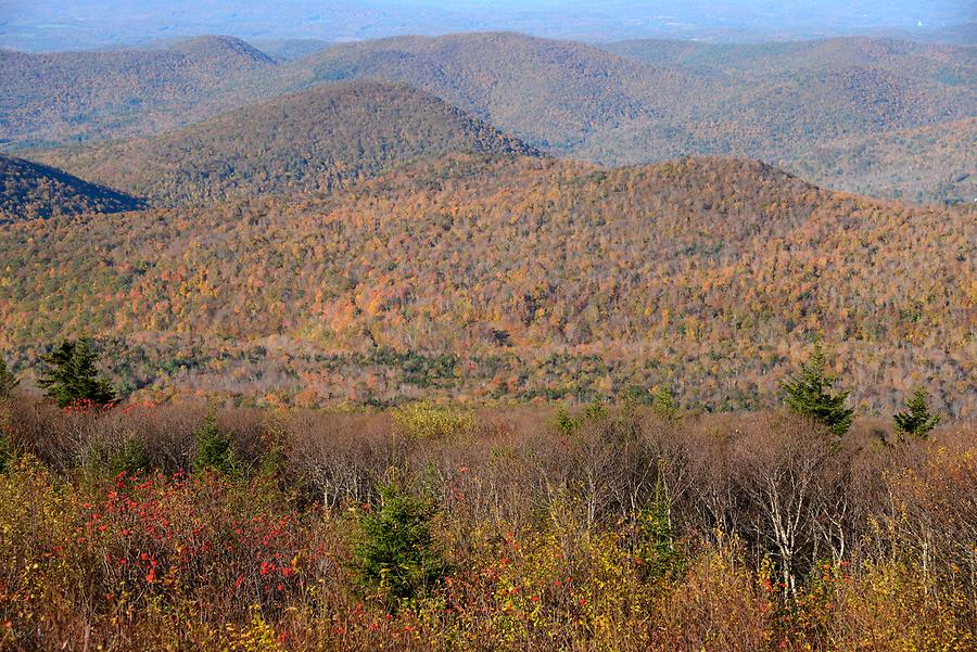 Green Mountains - Indian Summer