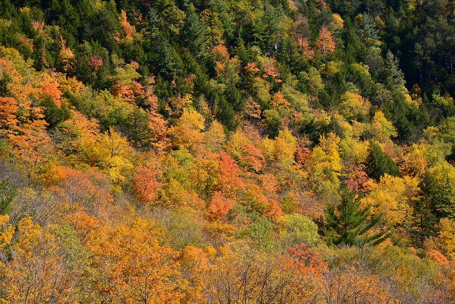 Green Mountains - Indian Summer