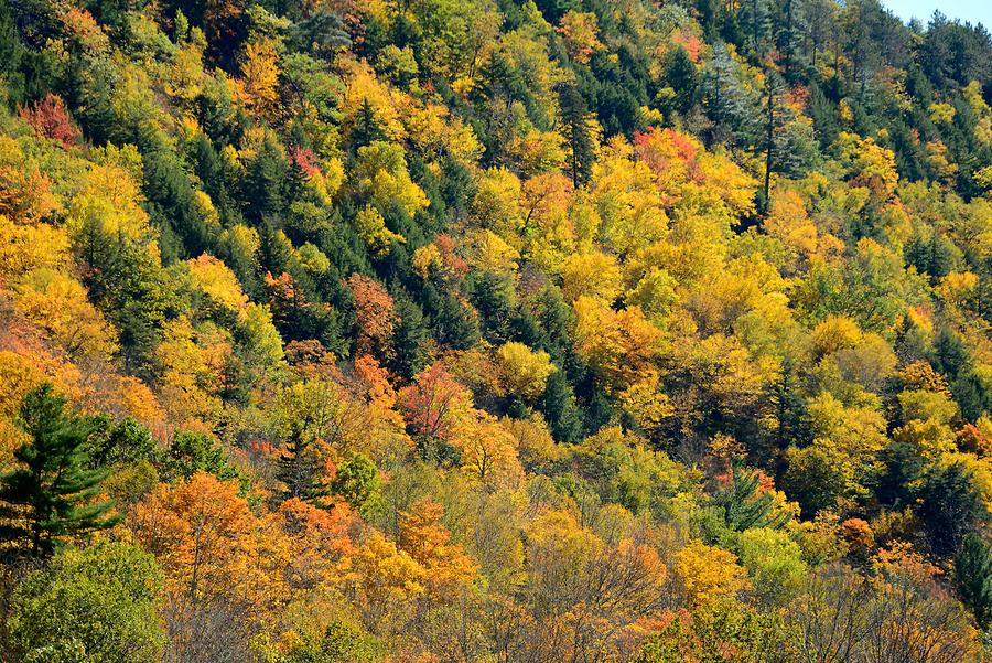 Green Mountains - Indian Summer