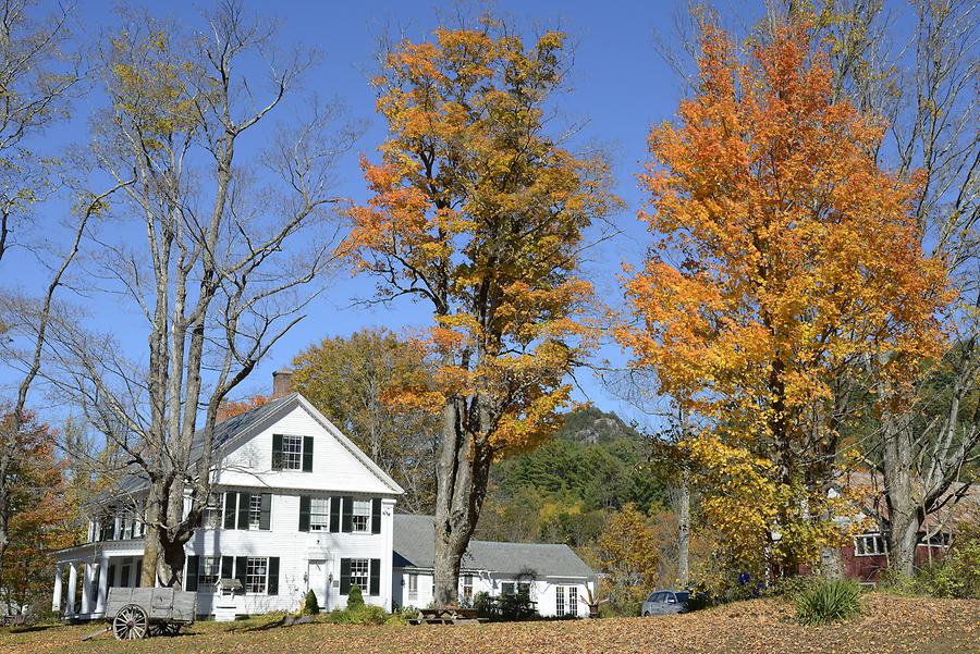 Green Mountains - Indian Summer