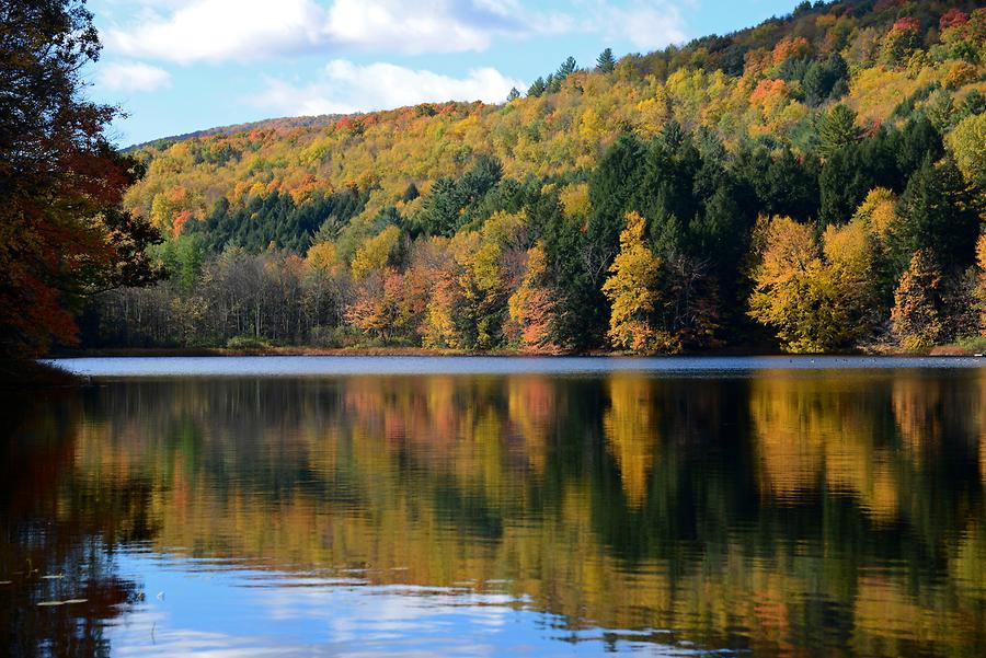 Green Mountains - Indian Summer