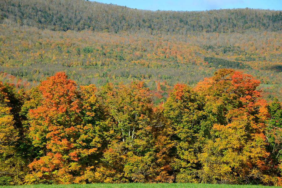 Green Mountains - Indian Summer