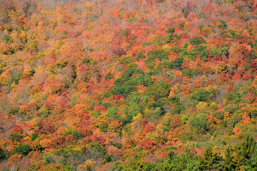 Green Mountains - Indian Summer