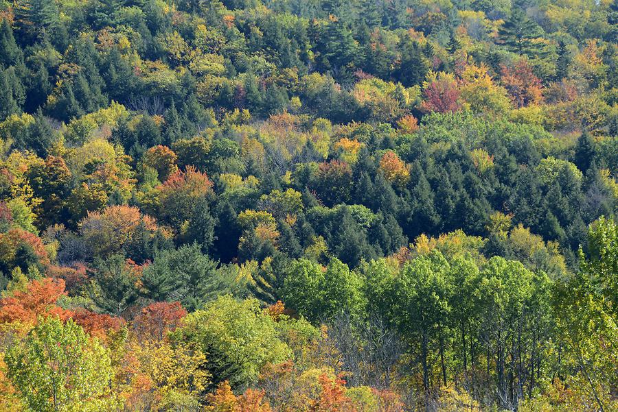 Green Mountains - Indian Summer