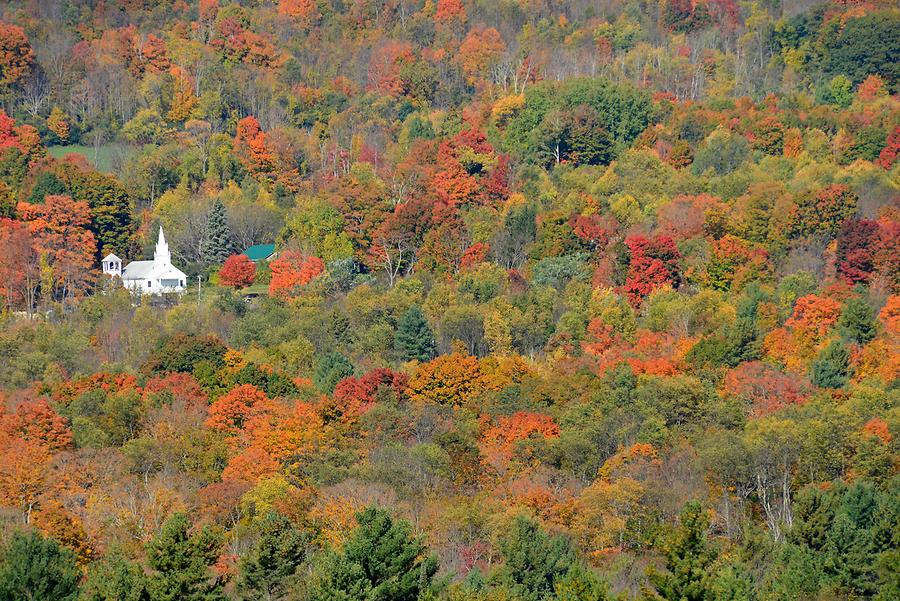 Green Mountains - Indian Summer