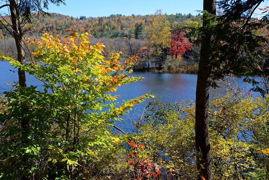 Green Mountains - Indian Summer