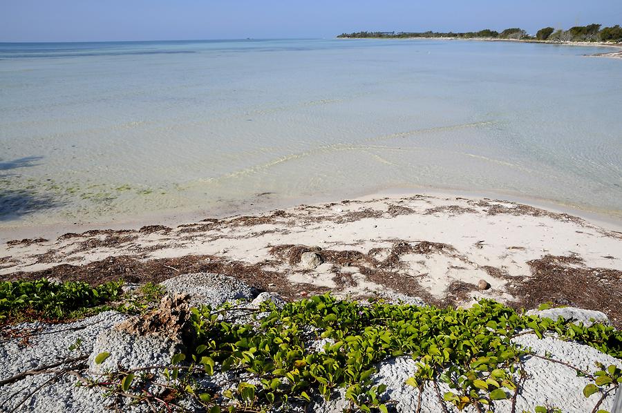 Key Largo - Beach