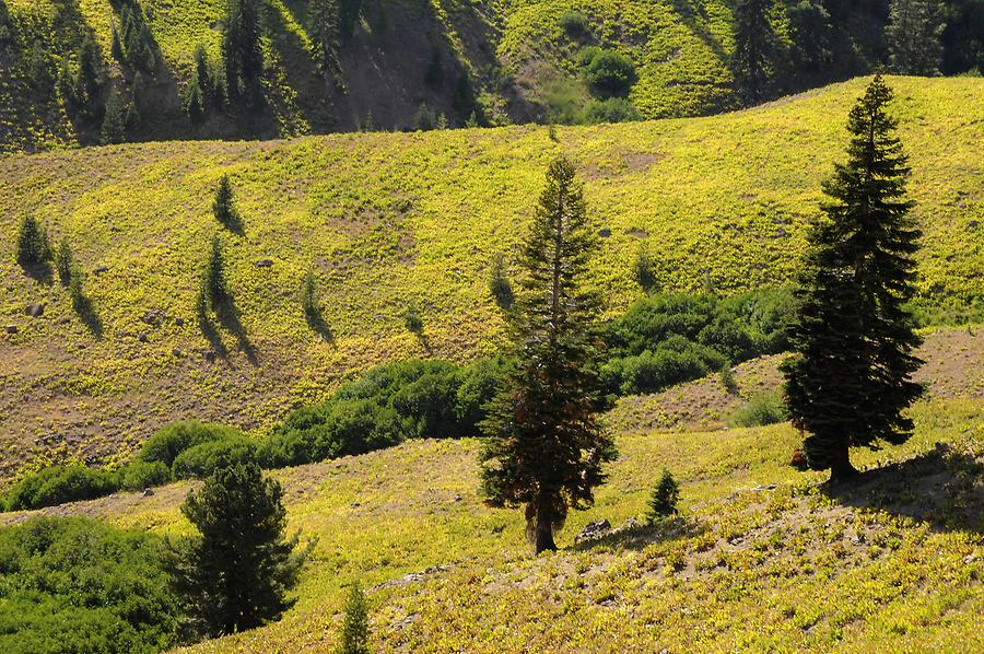 Lassen Volcanic National Park