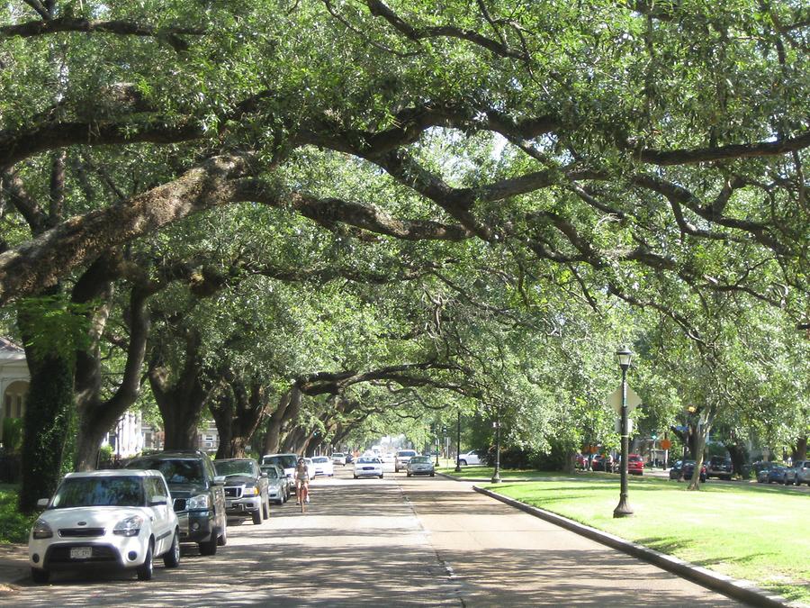 New Orleans St. Charles Avenue