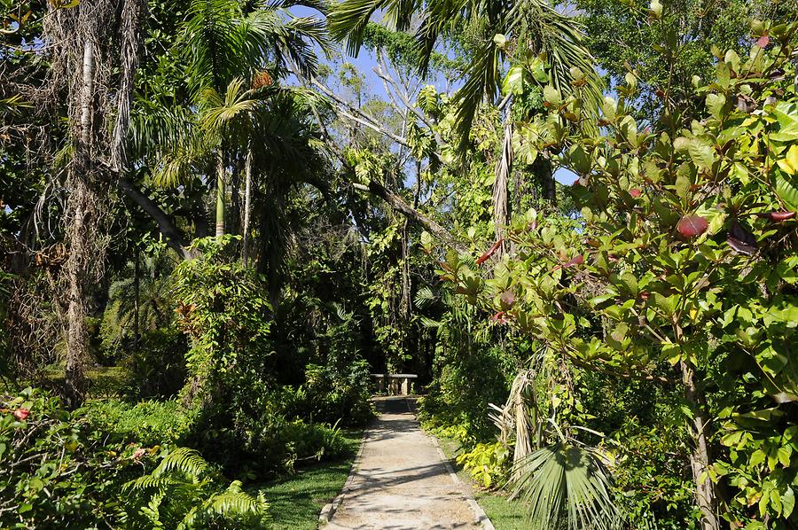 St. Bernard de Clairvaux Church - Garden