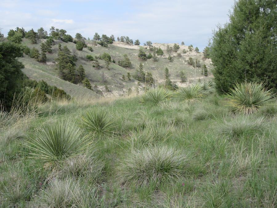 Scottsbluff National Monumnet