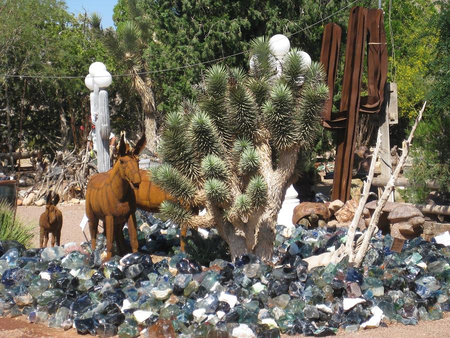 Blue Diamond Cactus Joe&#39;s Nursery