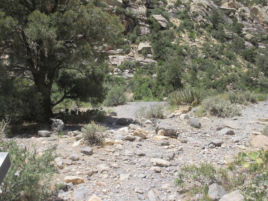 Red Rock Canyon