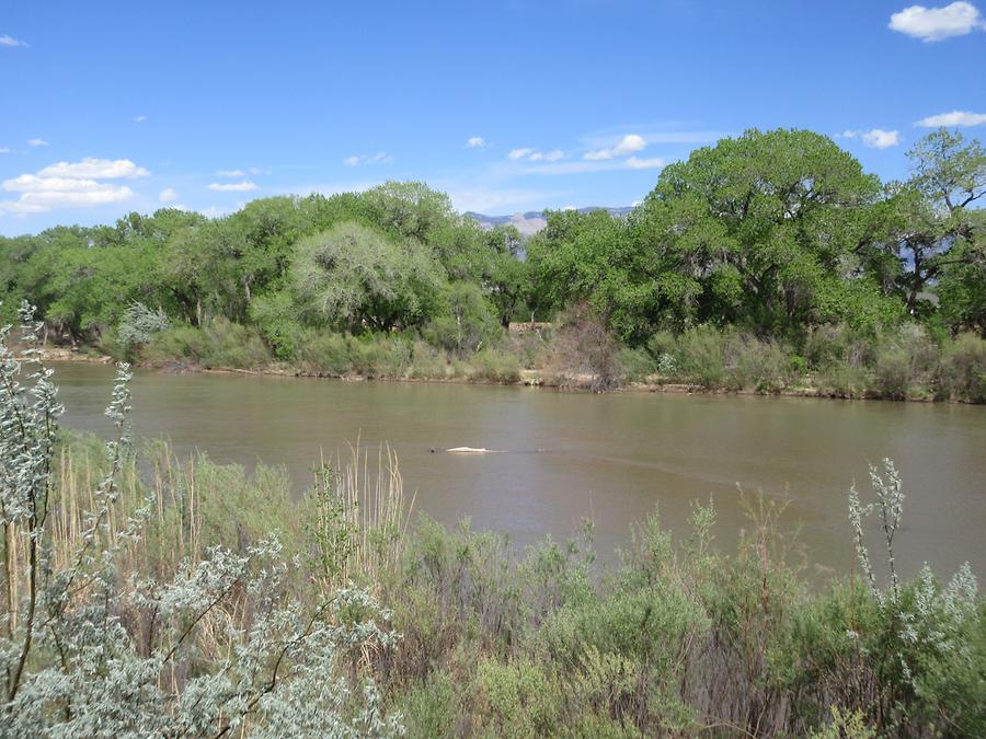 Albuquerque - Rio Grande