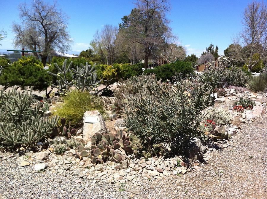 Santa Fe - Eldorado Community Center Garden