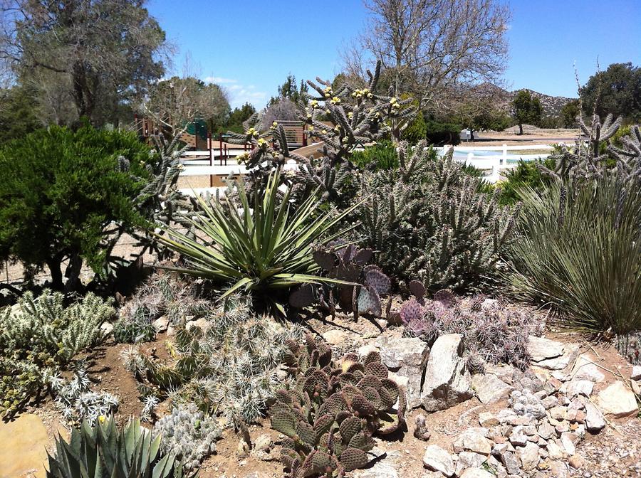 Santa Fe - Eldorado Community Center Garden