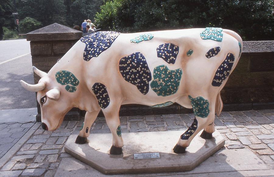 Cow