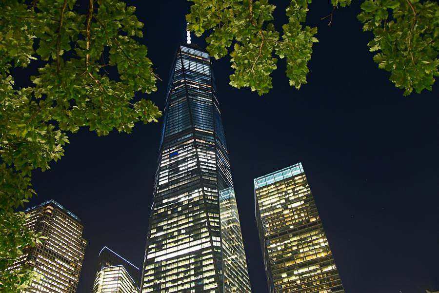 One World Trade Center at Night