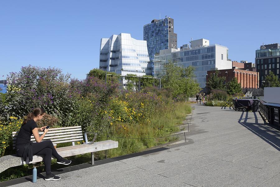 Chelsea - High Line