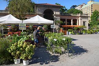 Union Square - Greenmarket (1)