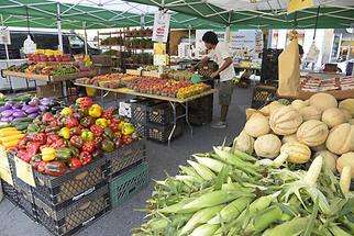 Union Square - Greenmarket (2)