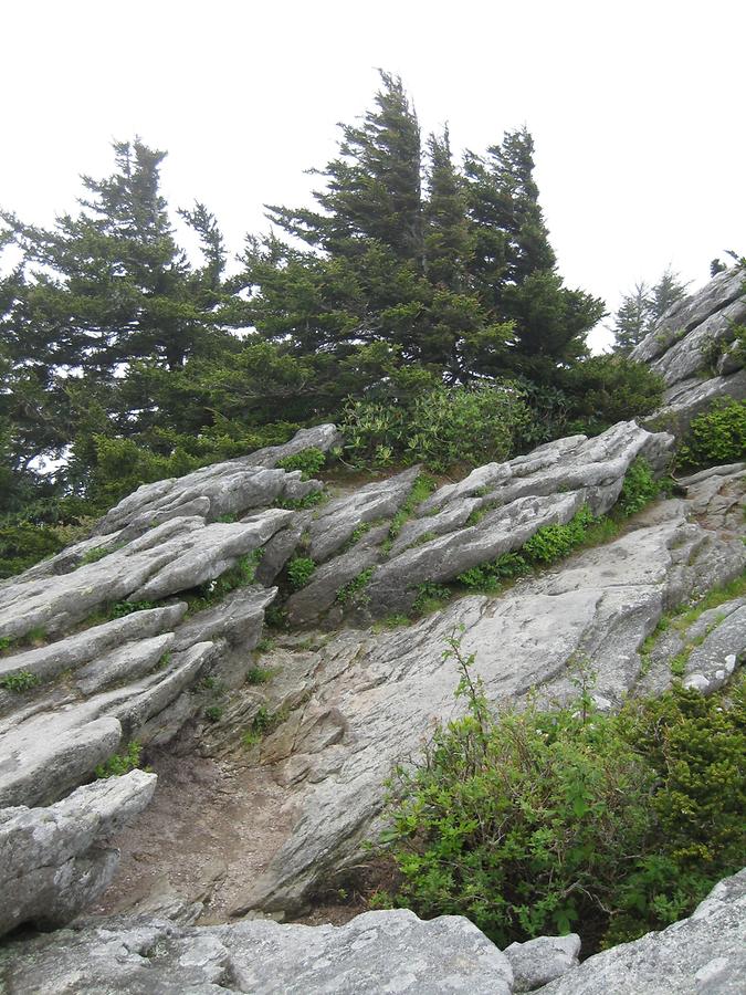 Blue Ridge Mountains Grandfather Mountain