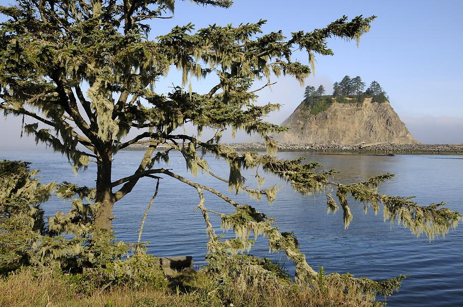 La Push Beach