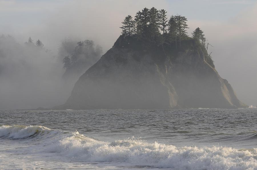 Rialto Beach - Coastal Fog