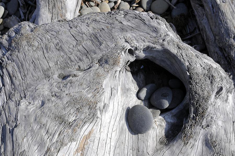 Ruby Beach - Driftwood