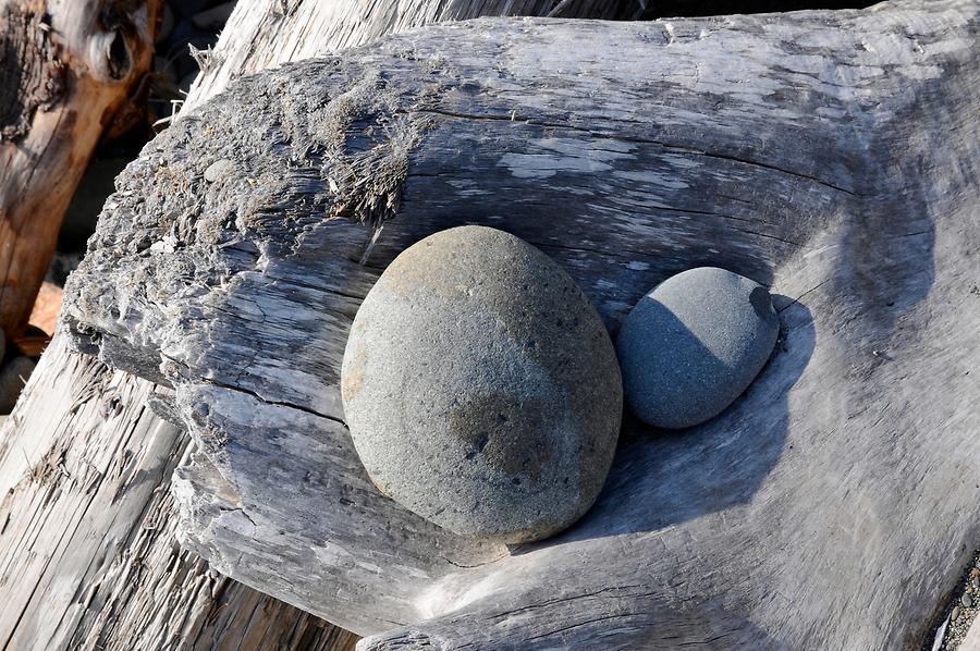 Ruby Beach - Driftwood