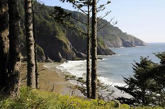 Cliff Coast near Heceta Head Lighthouse