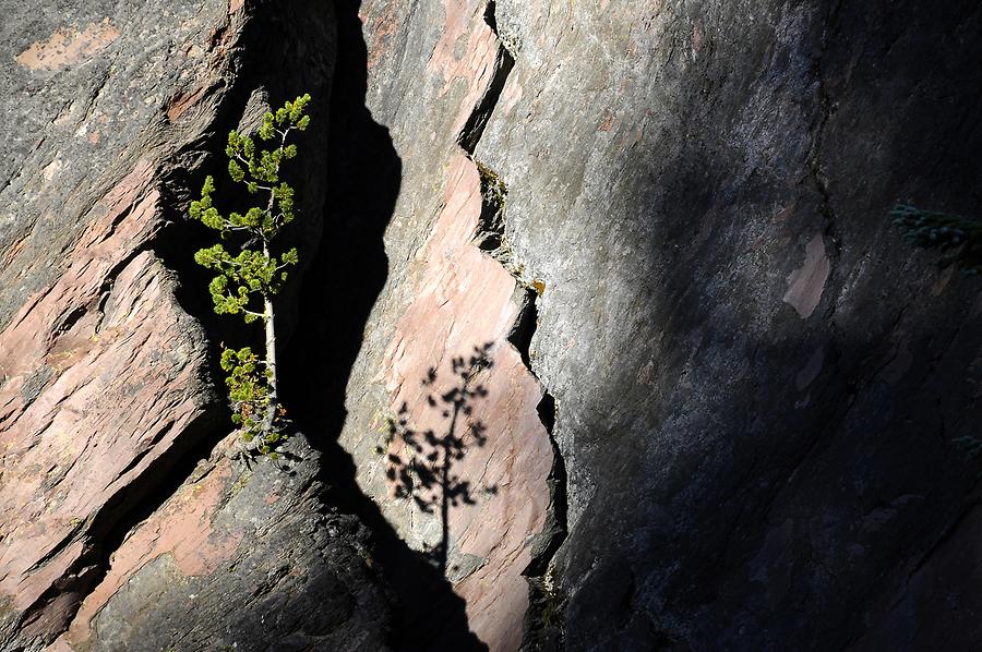 Crater Lake National Park - Rocks